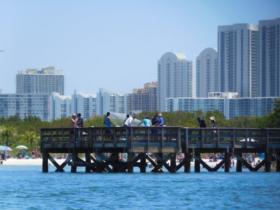 Skyline de Sunny Isles, derrière la Plage d'Oleta River State Park / Miami Beach