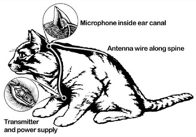 Le "chat acoustique" de la CIA