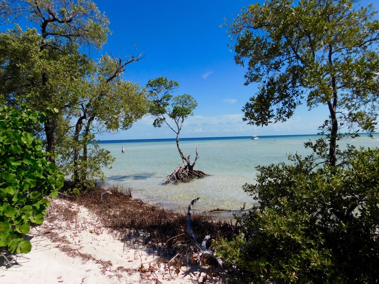 Backcountry des Lower Keys : Marvin Key et Barracuda Keys (Floride)