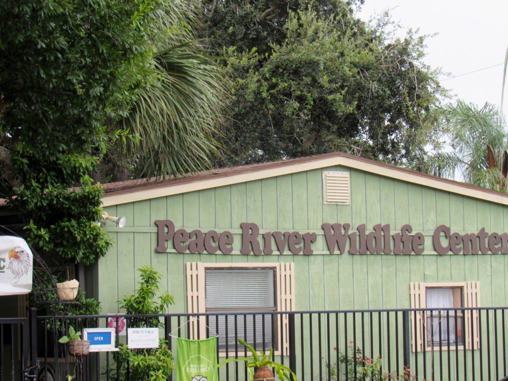 Peace River Wildlife Center, au Ponce de Leon Park de Punta Gorda, en Floride)