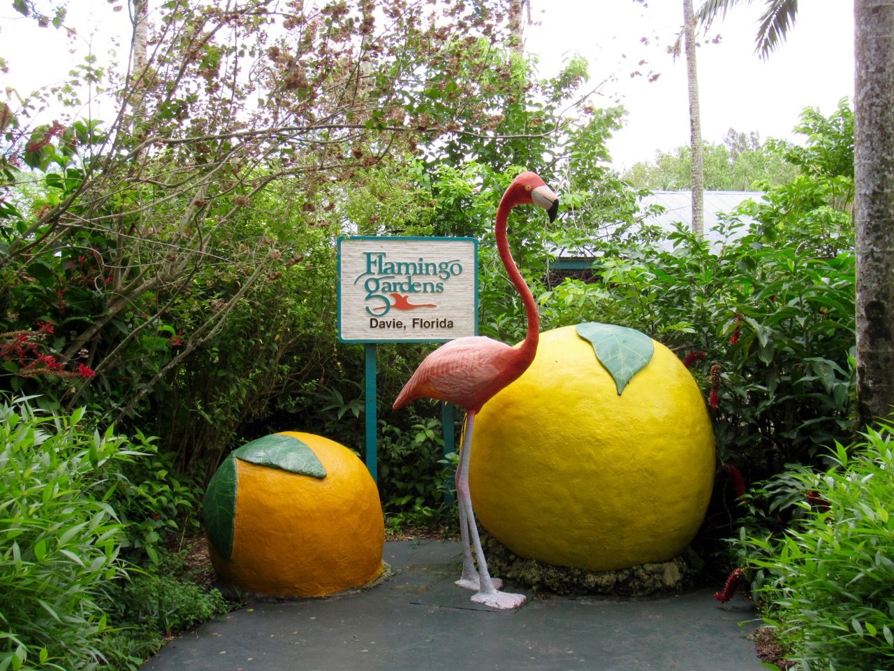 Flamingo gardens de Davie en Floride