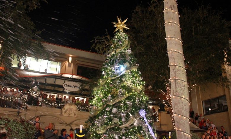 Illumination de l'arbre de Noël à Naples