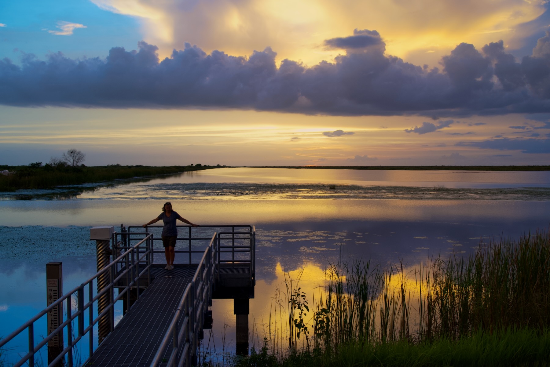 Parkland (Floride) : découvrez la partie sud de la Loxahatchee National Wildlife Refuge