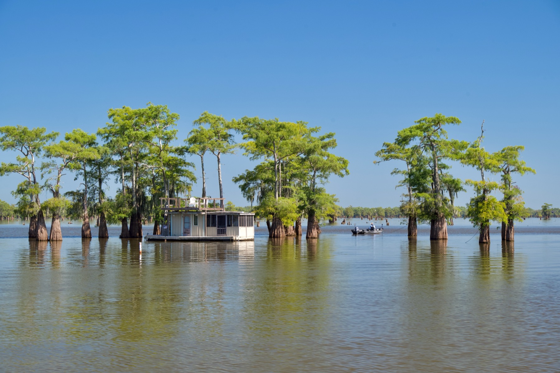 Bassin Atchafalaya de Louisiane : les bayous américains dans toute leur splendeur
