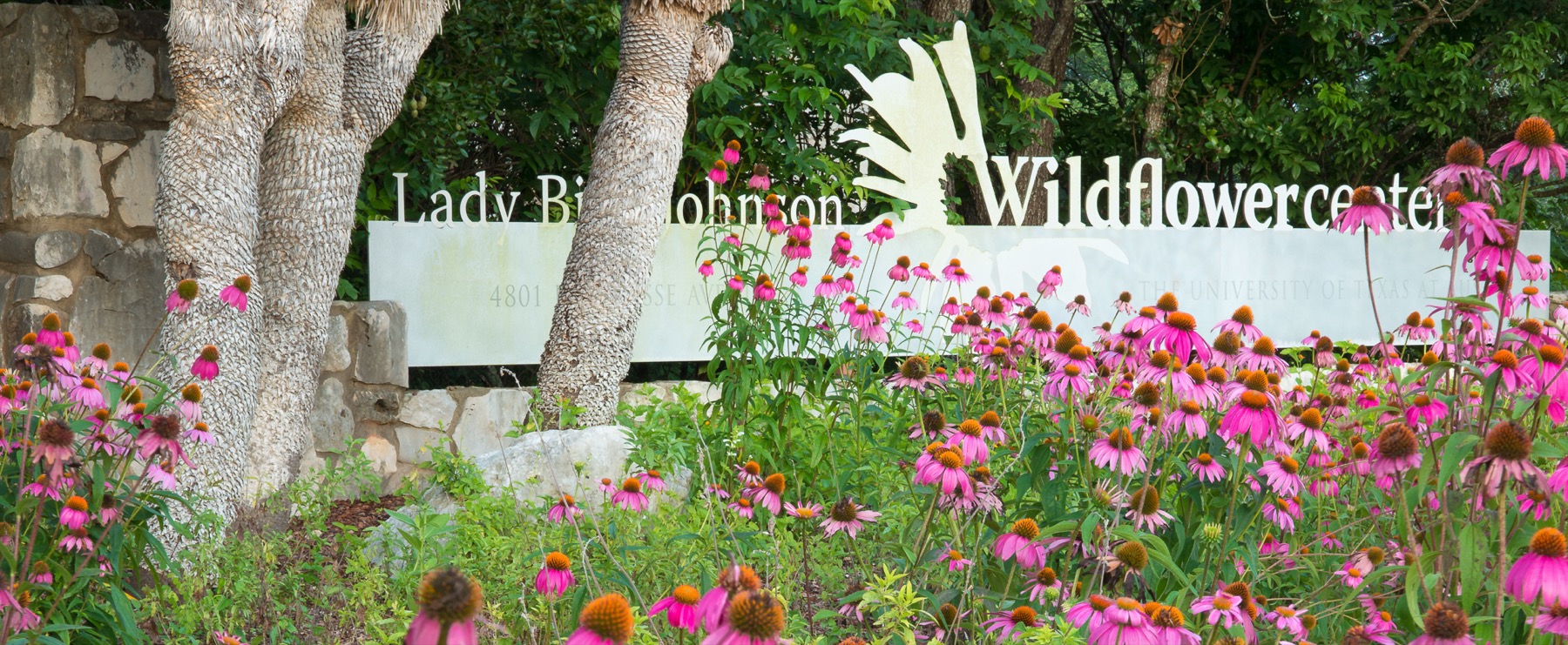 Lady Bird Johnson Wildflower Center.