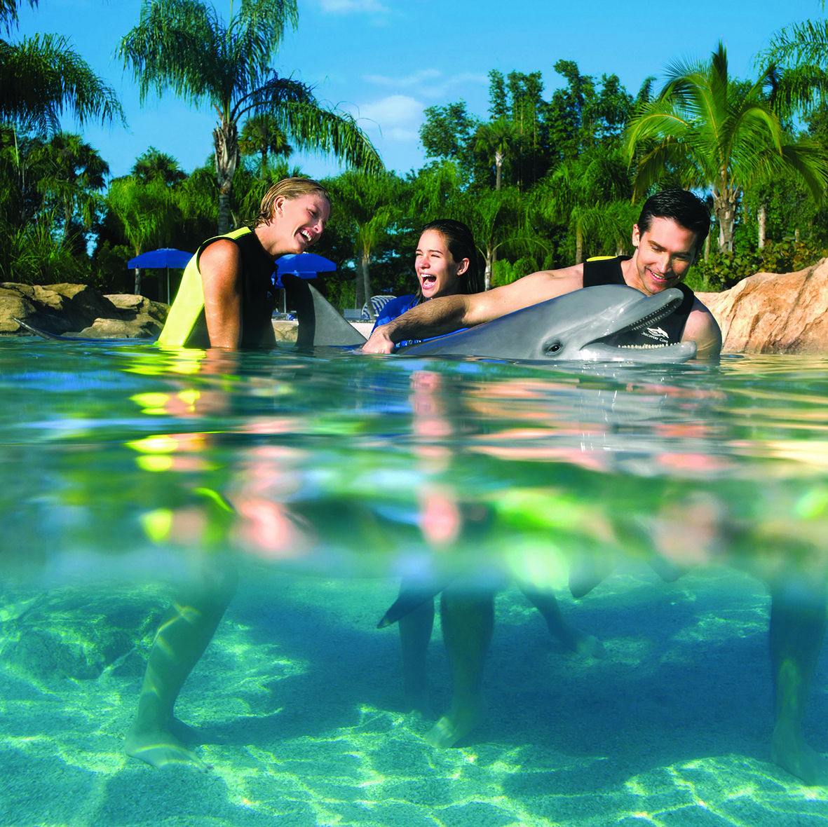 Nager avec les dauphins à Miami