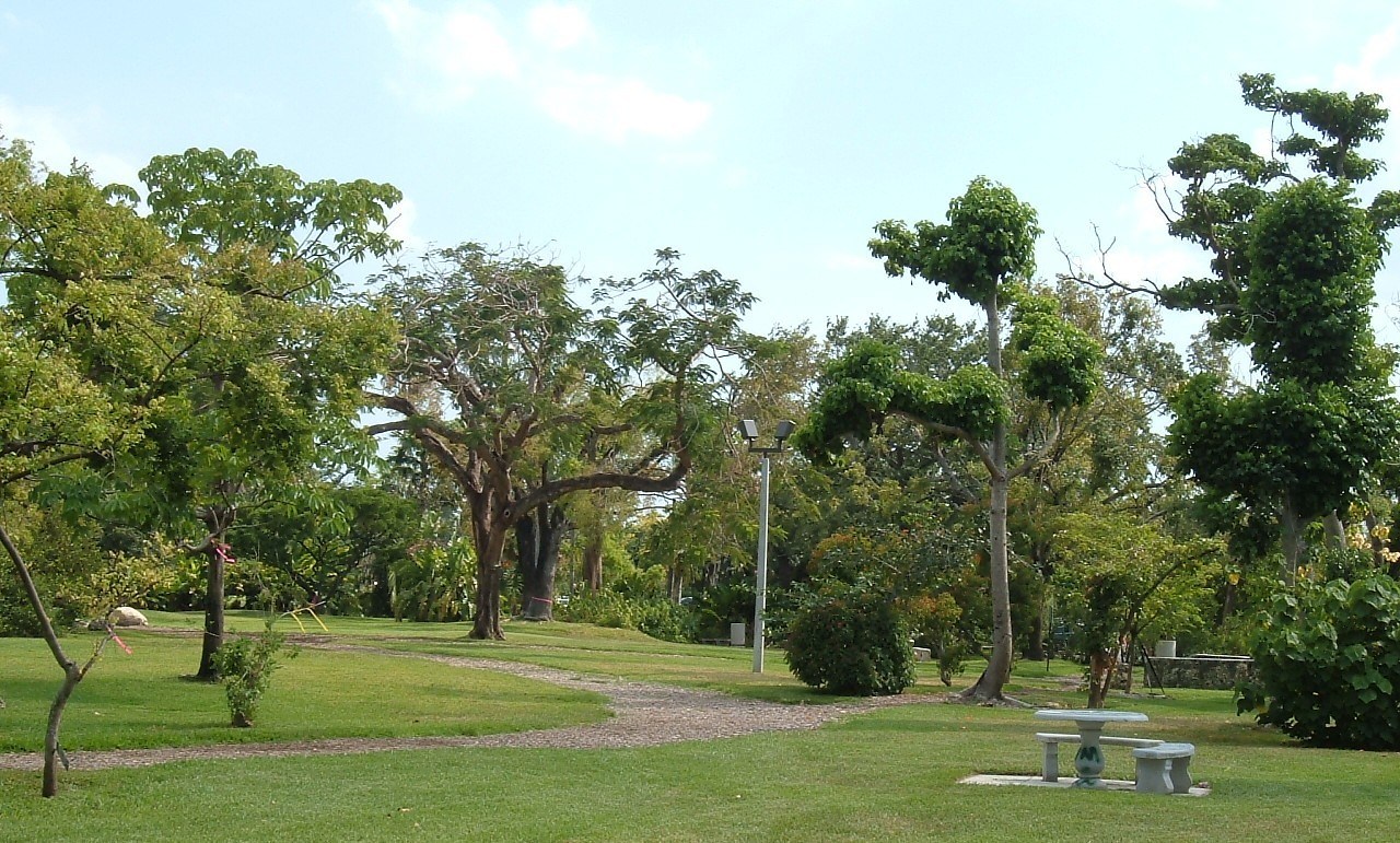 Gifford Arboretum de l'Université de Miami.
