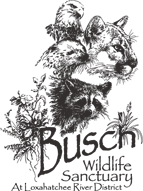 busch-wildlife-sanctuary