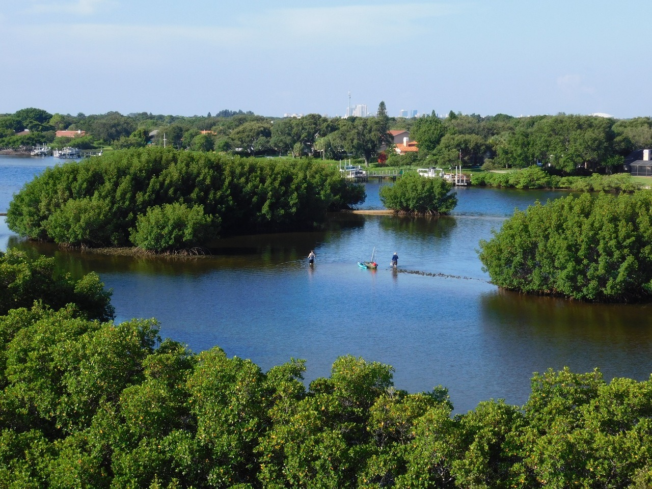 Parc de Weedon Island à St Petersburg, Floride