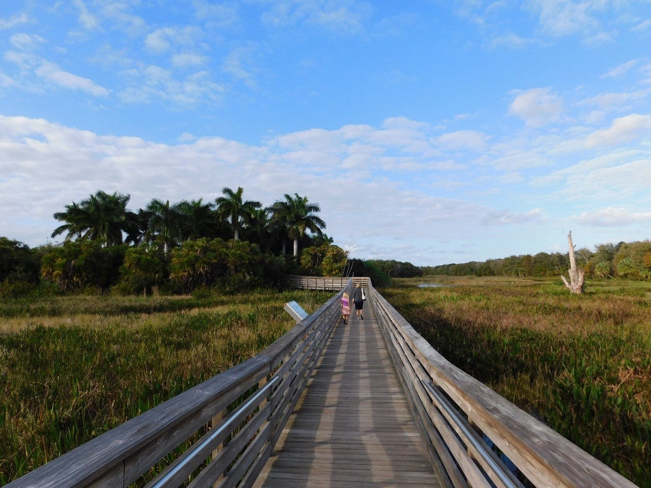 Green Cay Park / Everglades / Boynton Beach / Floride