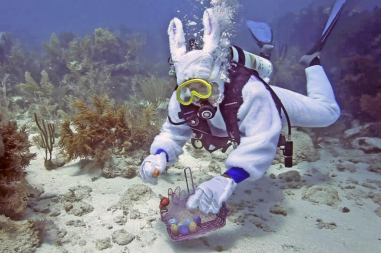 Chasse à l'œuf sous-marine dans les Keys de Floride