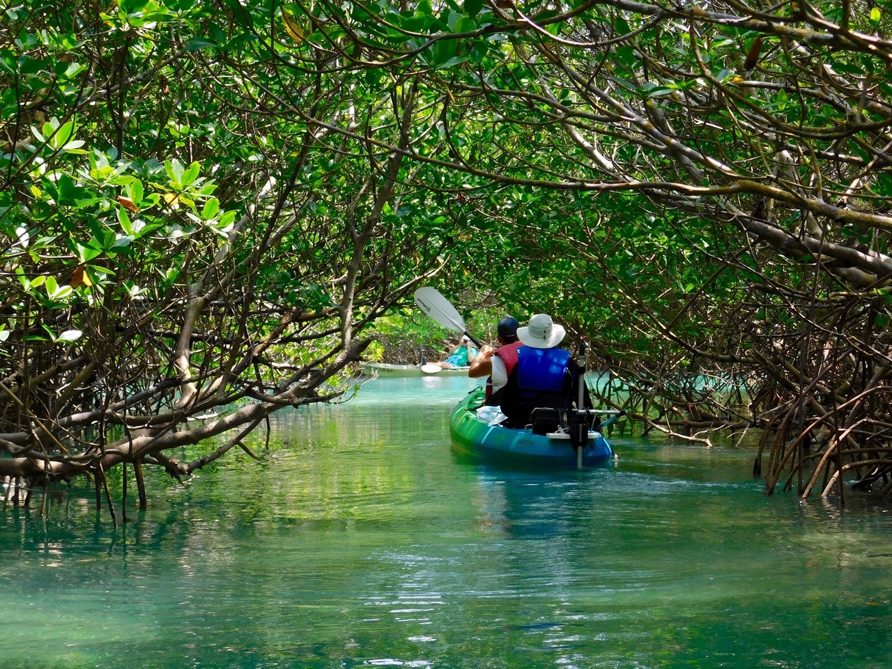 Motorized Kayak Adventures à Fort Pierce / Floride