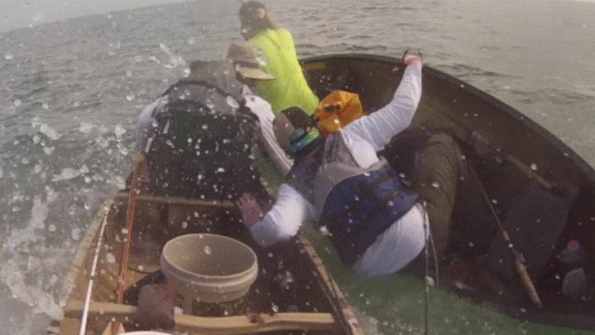 Vidéo : Un requin-bouledogue en colère attaque des canoës à Key West