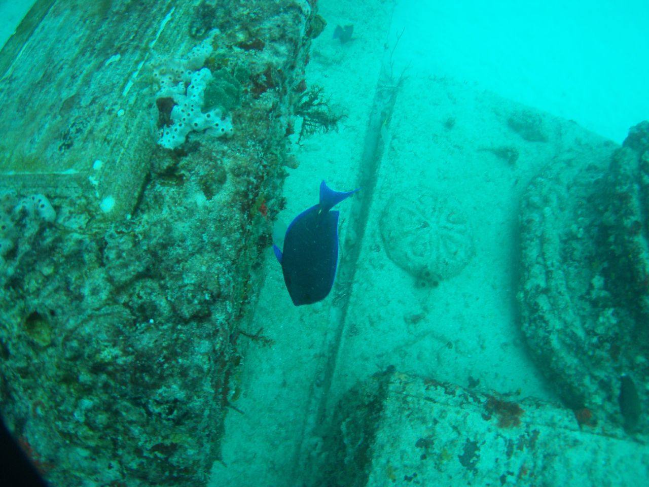 Neptune Mémorial Reef - Miami