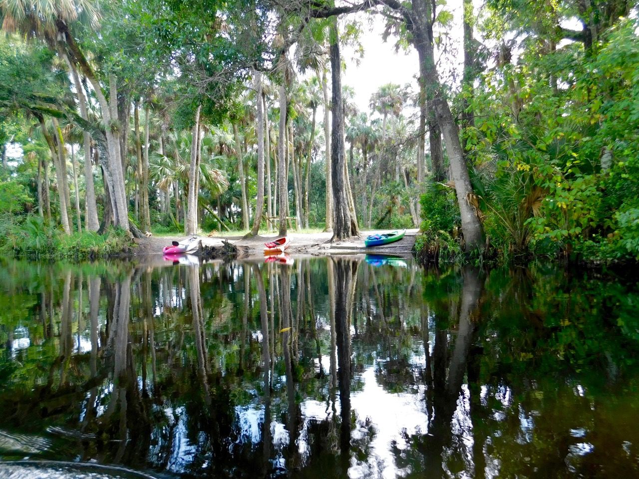 La Loxahatchee River, dans le Riverbend Park de Jupiter (Floride)