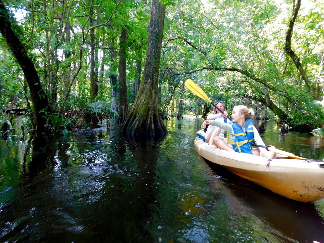 Kayak sur la Loxahatchee River (Floride)