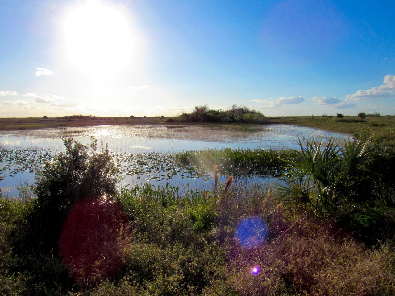 Systèmes de réservoirs dans les Everglades au Loxahatchee National Wildlife Refuge à Boynton Beach en Floride