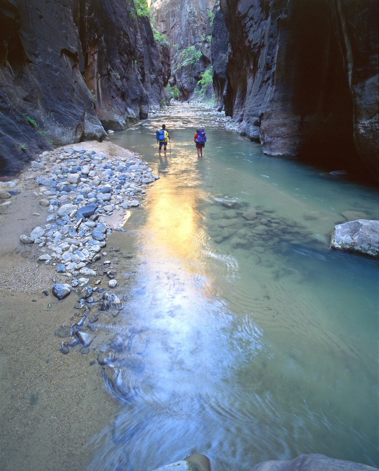 La Virgin River dans le Zion National Park 