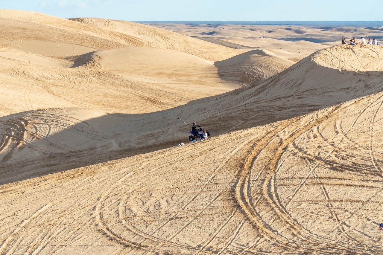 Les dunes Algodones 