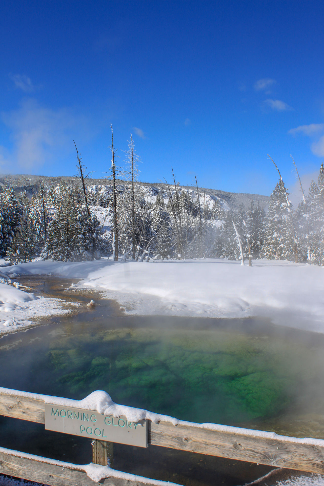 La Morning Glory Pool de Yellowstone.