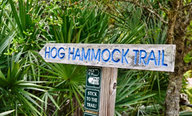 Hog Hammock Trail : pour faire du vélo à West Palm Beach
