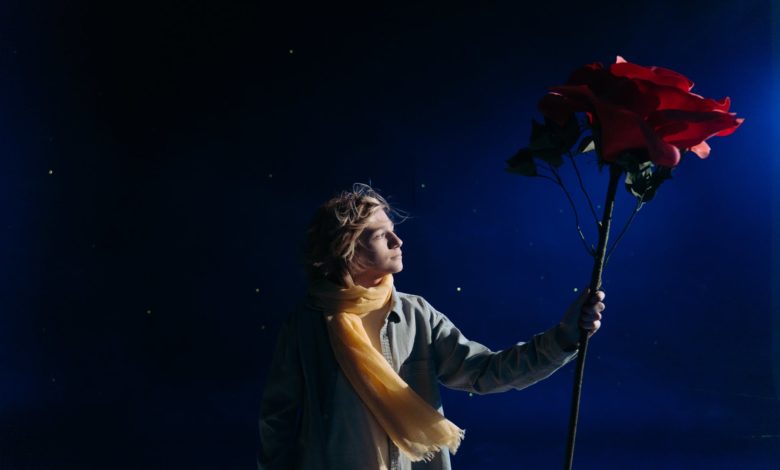 boy with yellow scarf holding big red rose