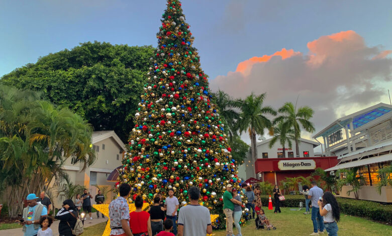 Noël 2022 à Miami et en Floride : messes, spectacles, parades, décorations, tout sur les fêtes de fin d'année ! (cette photo : Bayfront Park à Miami l'an passé)