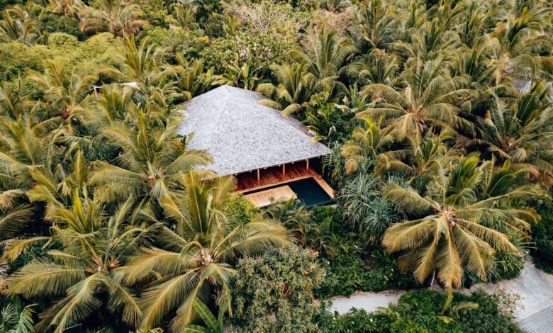 a luxury house surrounded by exotic bushes and palm trees