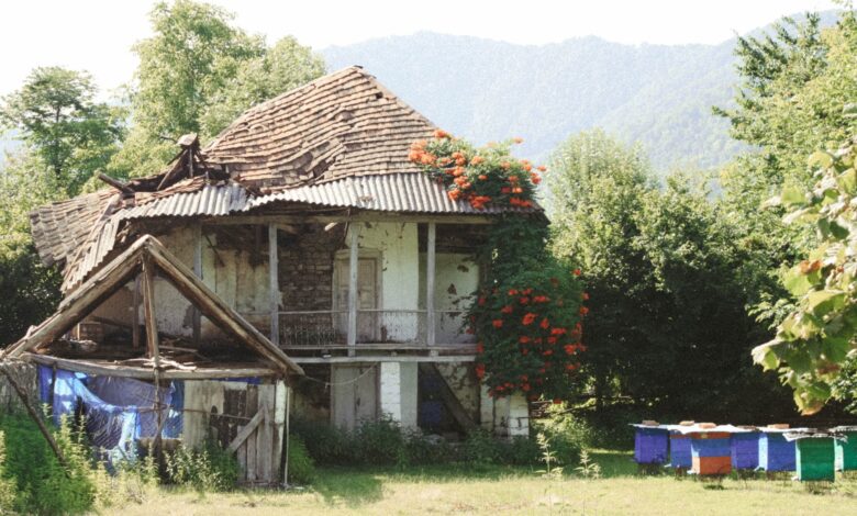 decaying house surrounded with trees