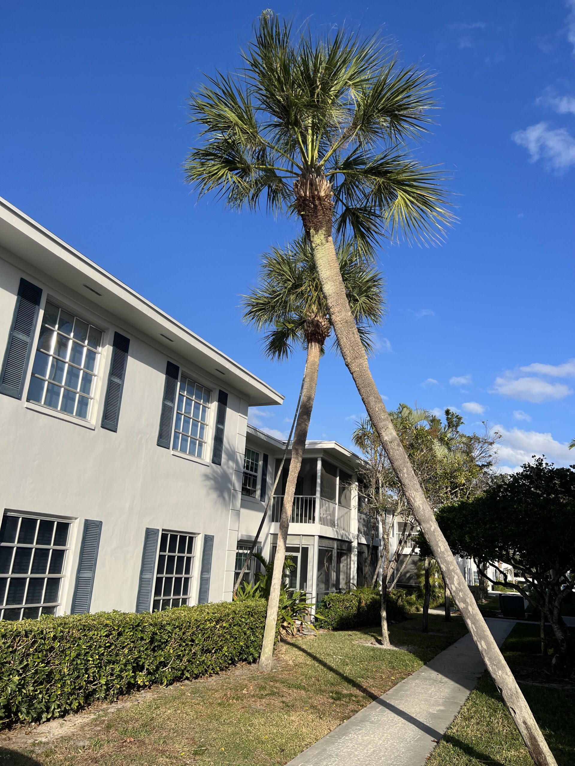 Tout savoir sur les mises en location de votre maison, condo ou appartement en Floride
