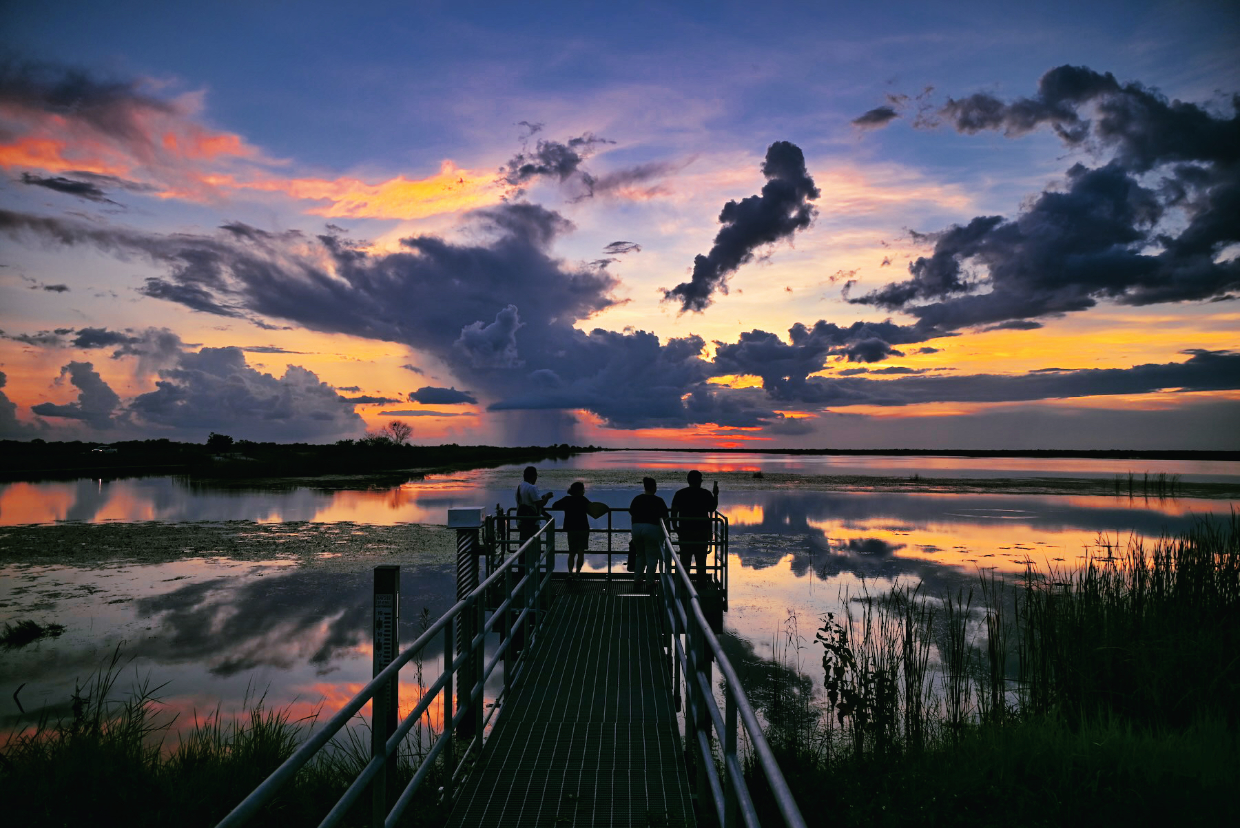 Parkland (Floride) : découvrez la partie sud de la Loxahatchee National Wildlife Refuge