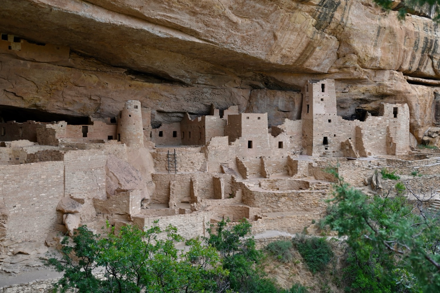 Cliff Palace, la plus grande ville de Mesa Verde National Park