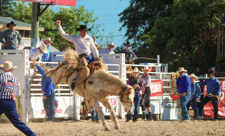 Homestead Championship Rodeo